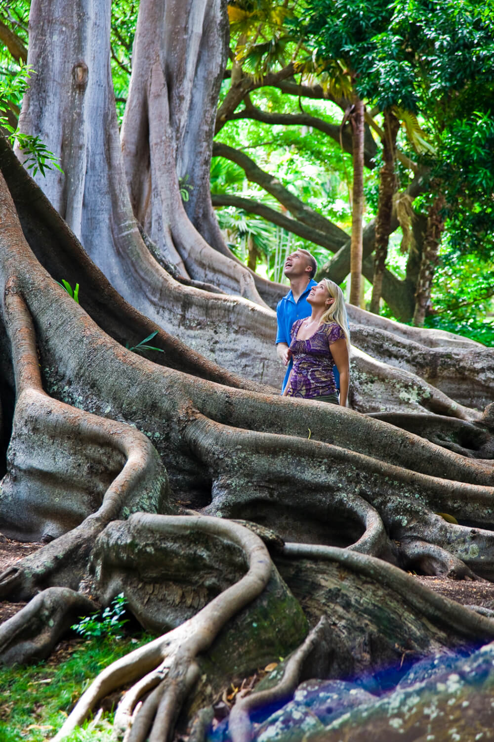 Top 25 Things to do in Poipu, Kauai featured by top Hawaii blog, Hawaii Travel with Kids: The National Tropical Botanical Garden on Kauai is a fun thing to do on Kauai with kids