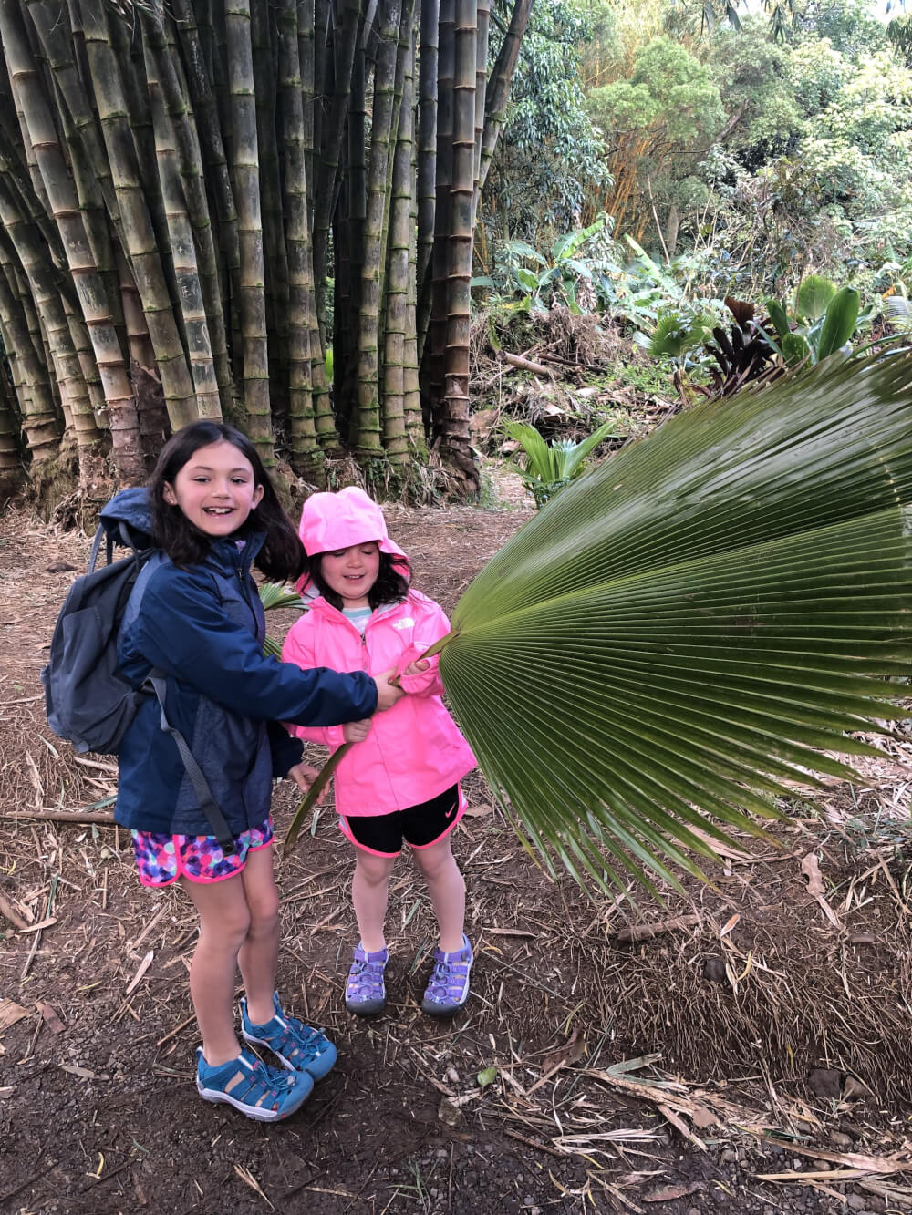 3 Day Maui Itinerary with Kids featured by top Hawaii travel blog, Hawaii Travel with Kids: The Road to Hana with kids can be a lot of fun, especially with stops like Twin Falls.