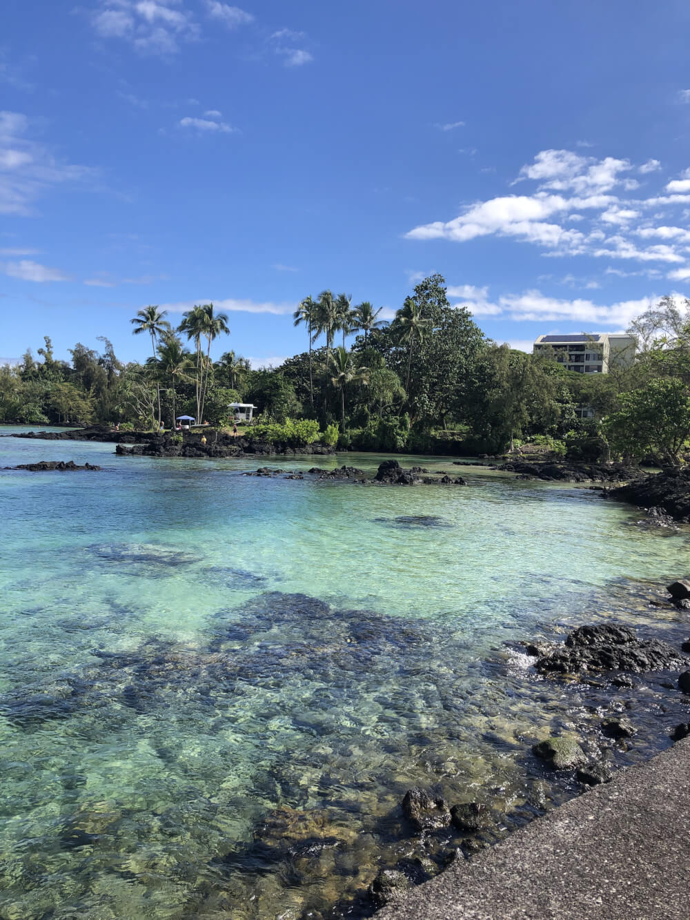 Everything you Need to Know About Traveling to Hawaii Big Island with Kids featured by top Hawaii travel blog, Hawaii Travel with Kids | Carlsmith Beach on Hawaiis Big Island is perfect for families