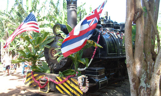 Grove Farm has free train rides on Kauai