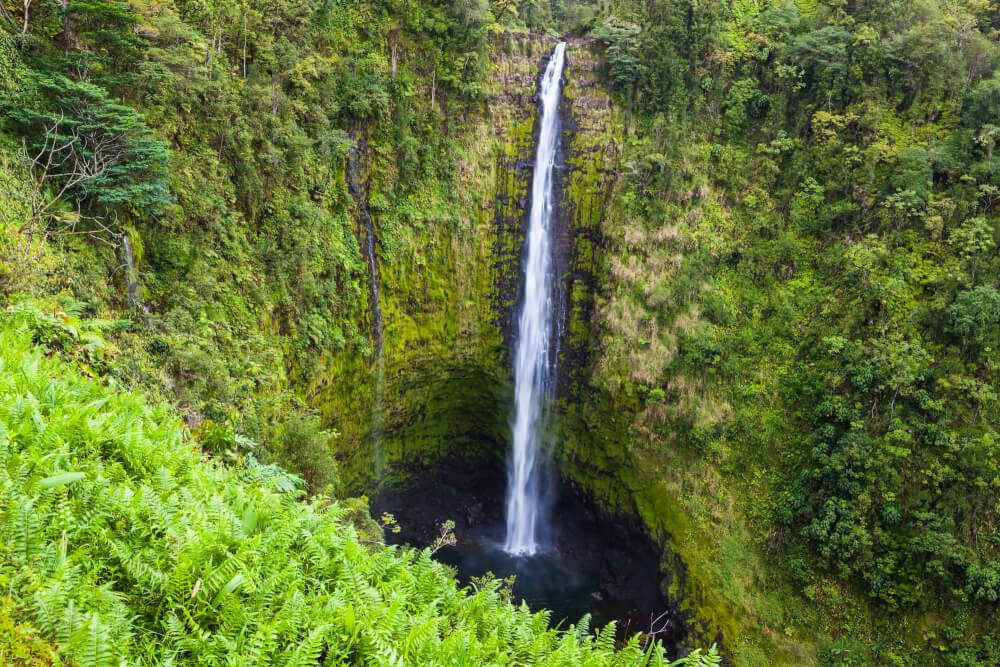 12 FREE Things to do on the Big Island of Hawaii with Kids featured by top Hawaii travel blog, Hawaii Travel with Kids: Akaka Falls State Park