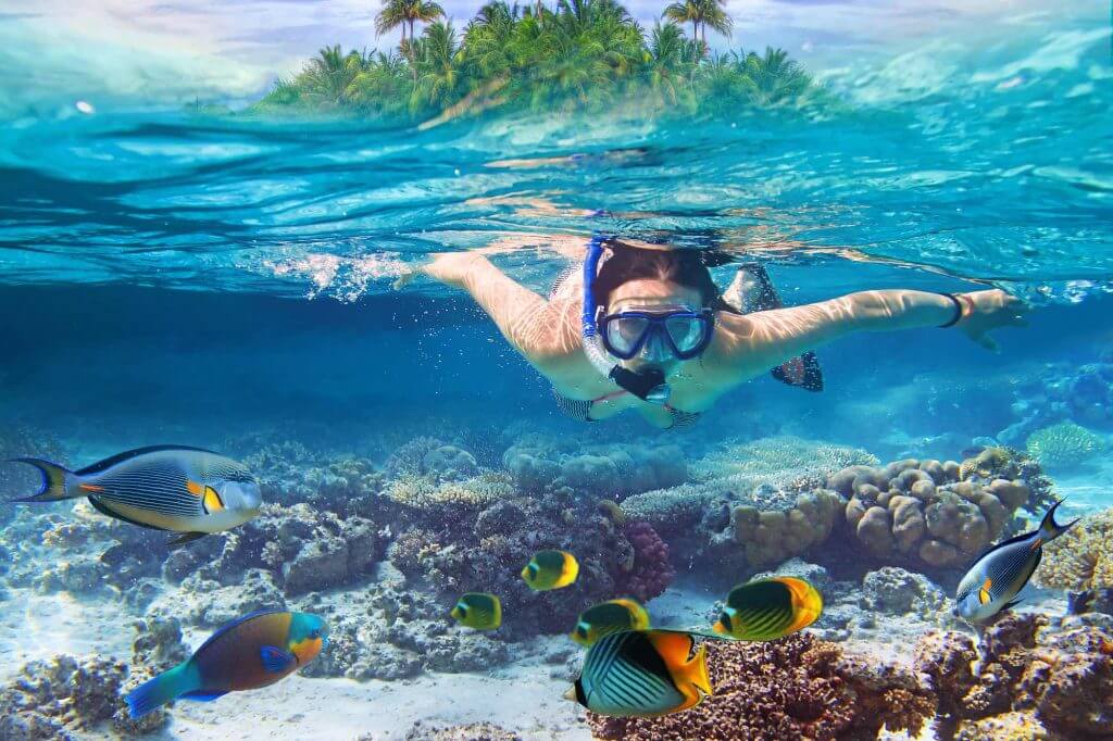 Find out where to go snorkeling on Oahu with this private Oahu tour. Image of a woman snorkeling with tropical fish.