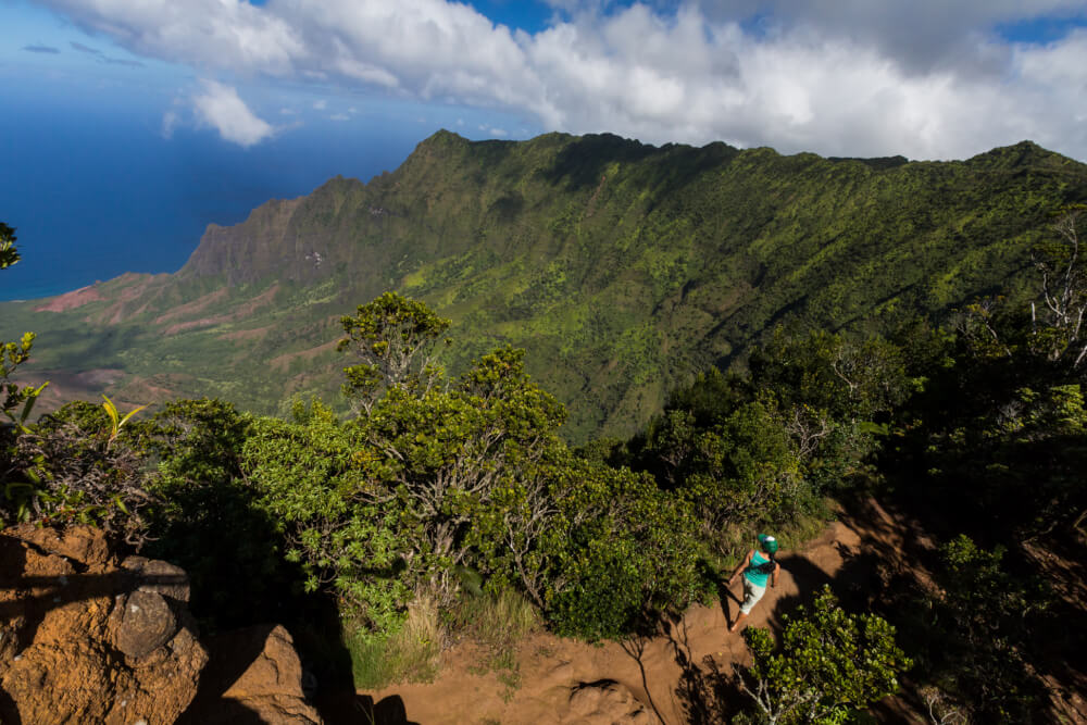 50 Best Places to Visit in Hawaii with your Family featured by top Hawaii blog, Hawaii Travel with Kids: Kokee State Park is a popular place on Kauai for bird watching