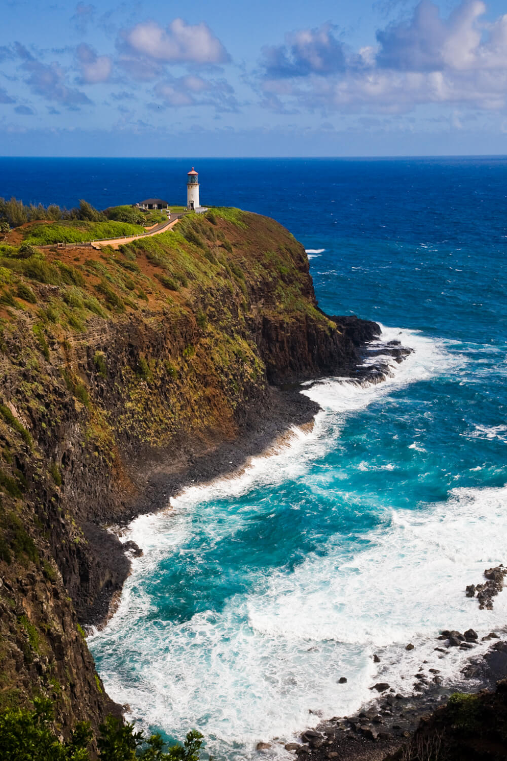 The Ultimate Guide to Birding on Kauai featured by top Hawaii travel blog, Hawaii Travel with Kids: Kilauea Wildlife Refuge is a poplar place for Kauai bird watching