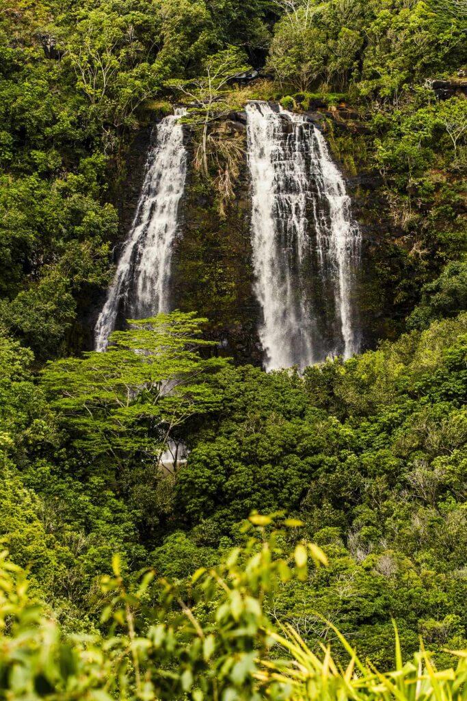 Image of Opaekaa Falls on Kauai