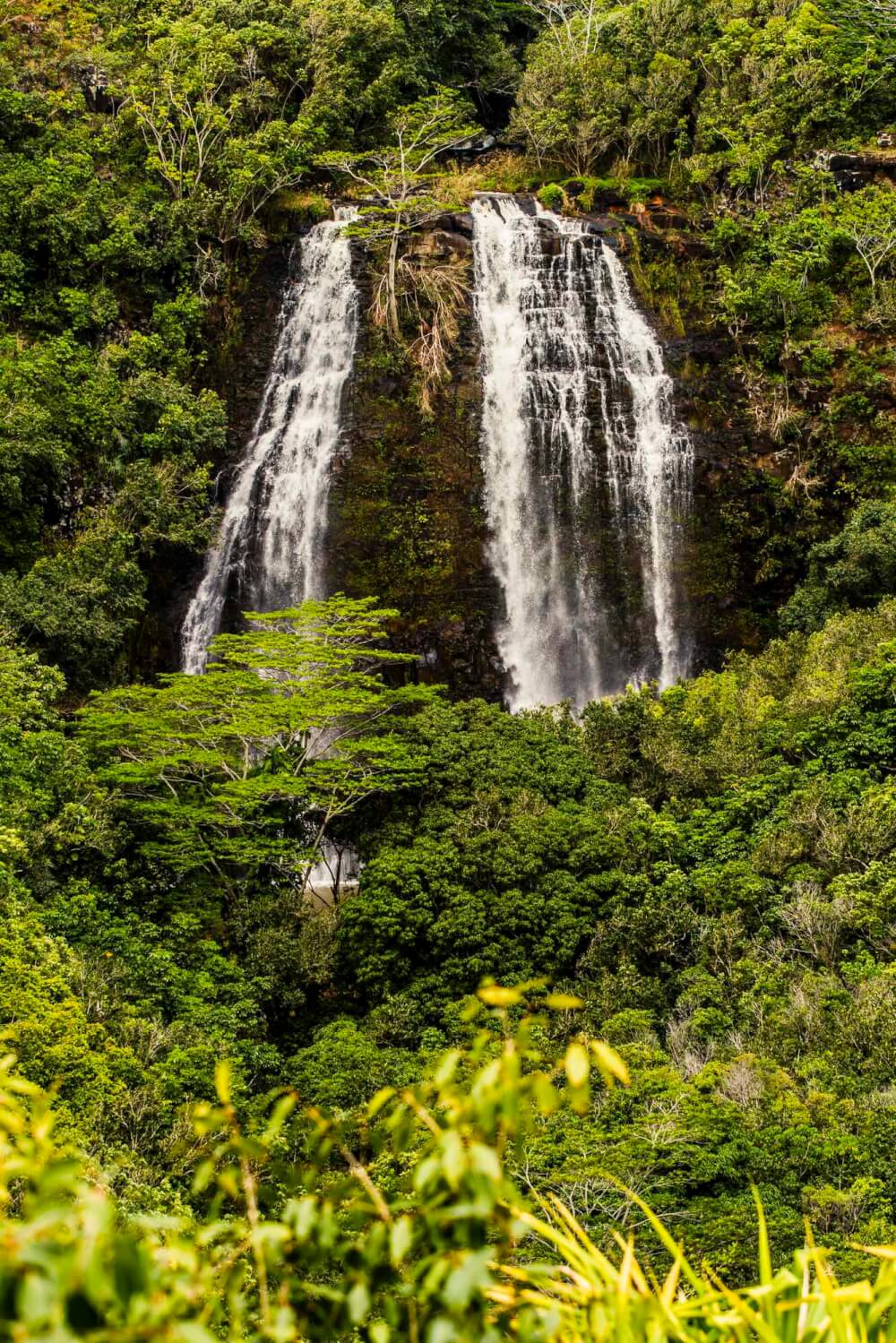 Hawaiian family vacations aren't complete without seeing at least one Hawaiian waterfall, like Opaekaa Falls on Kauai