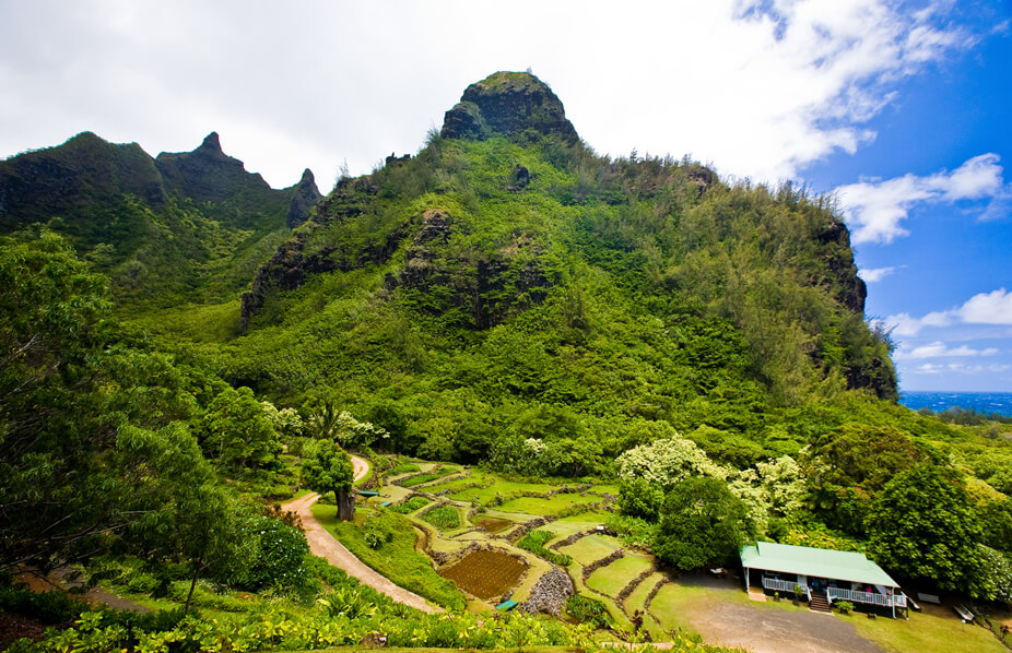 View of Limahuli Gardens in Hanalei on Kauai, which is a popular thing to do near Hanalei Kauai.