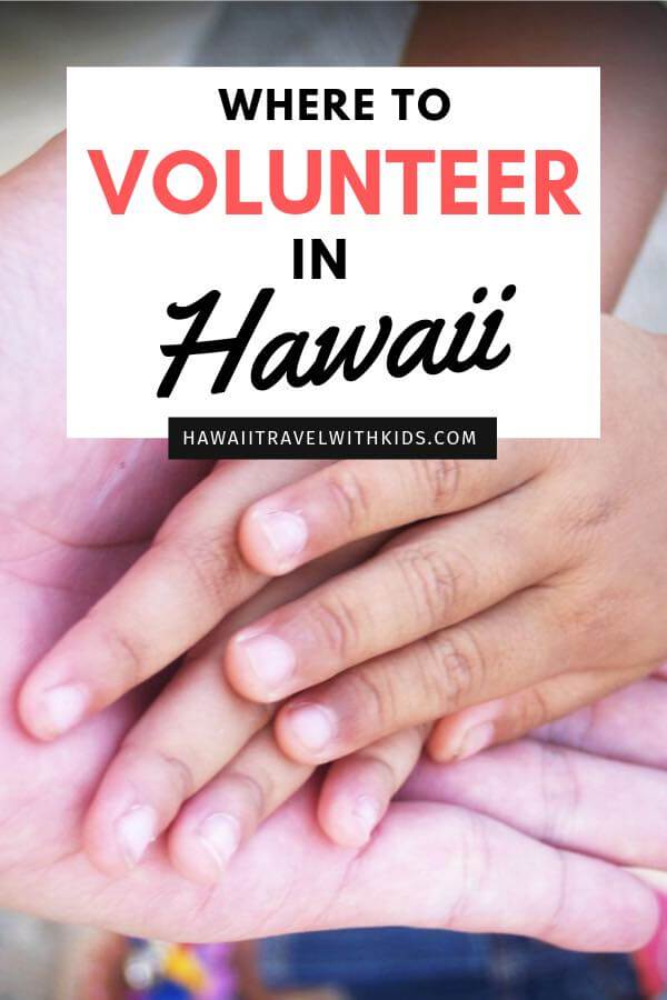 Heading to Hawaii in December? Find out the best places to volunteer in Hawaii this holiday season. Show your kids how to give back this holiday season.