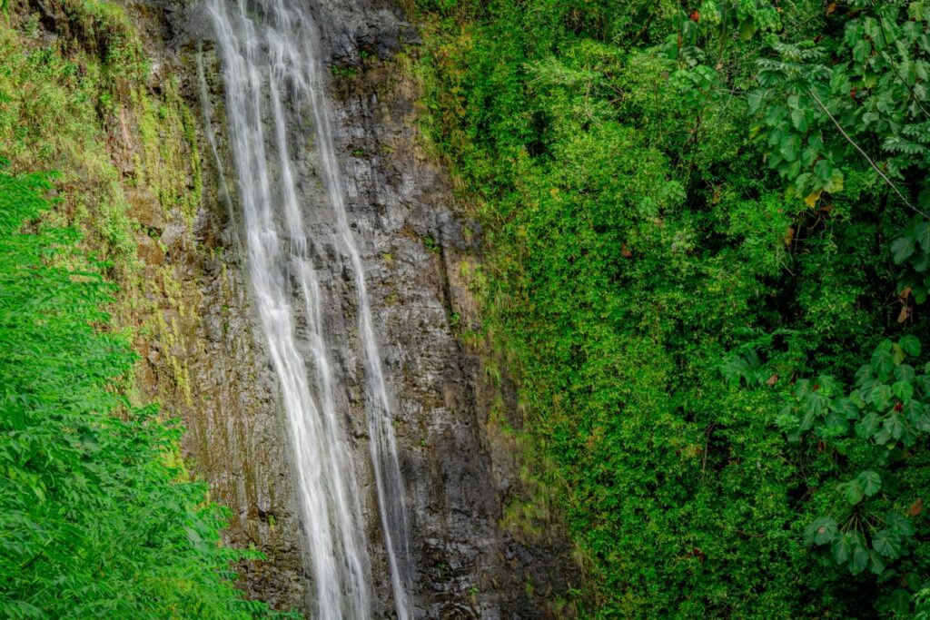 Manoa falls in Oahu