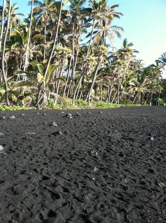 Punaluu Beach, Black Sand Beach, Big Island--Punaluu Beach is one of the best Big Island beaches