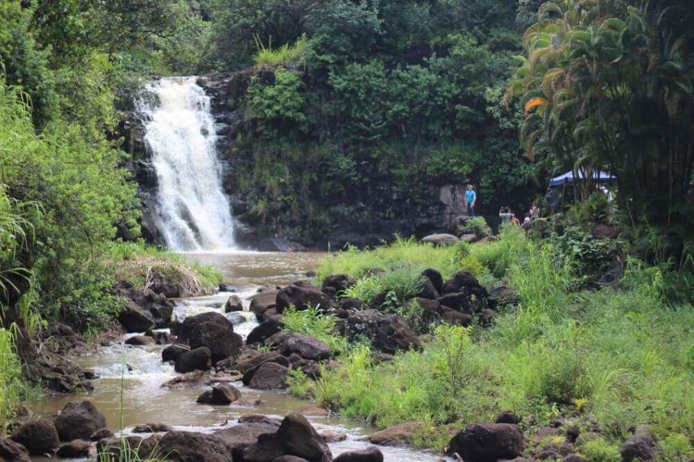 Oahu or Kauai: Which is the Best Hawaiian Island for Kids? Tips featured by top Hawaii travel blog, Hawaii Travel with Kids: Waimea Falls is a popular Oahu waterfall