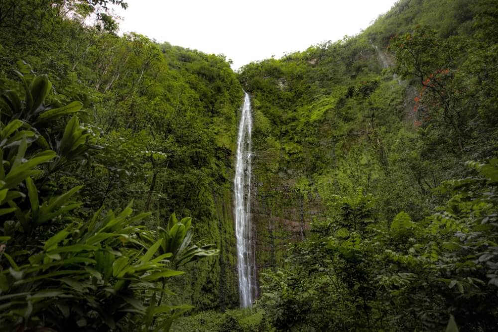 Best Waterfalls in Maui You Should Visit featured by top Hawaii travel blog, Hawaii Travel with Kids: Waimoku Falls, Maui, Hawaii--Waimoku Falls is one of the best Maui waterfalls