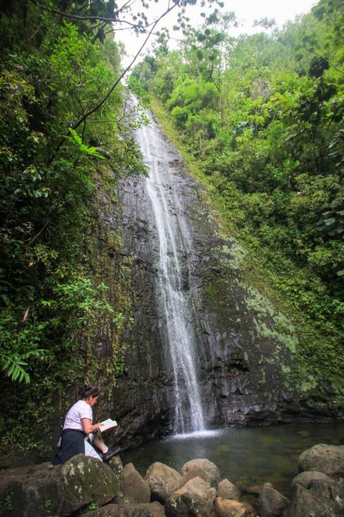 Manoa Falls is one of the most popular waterfall hikes on Oahu