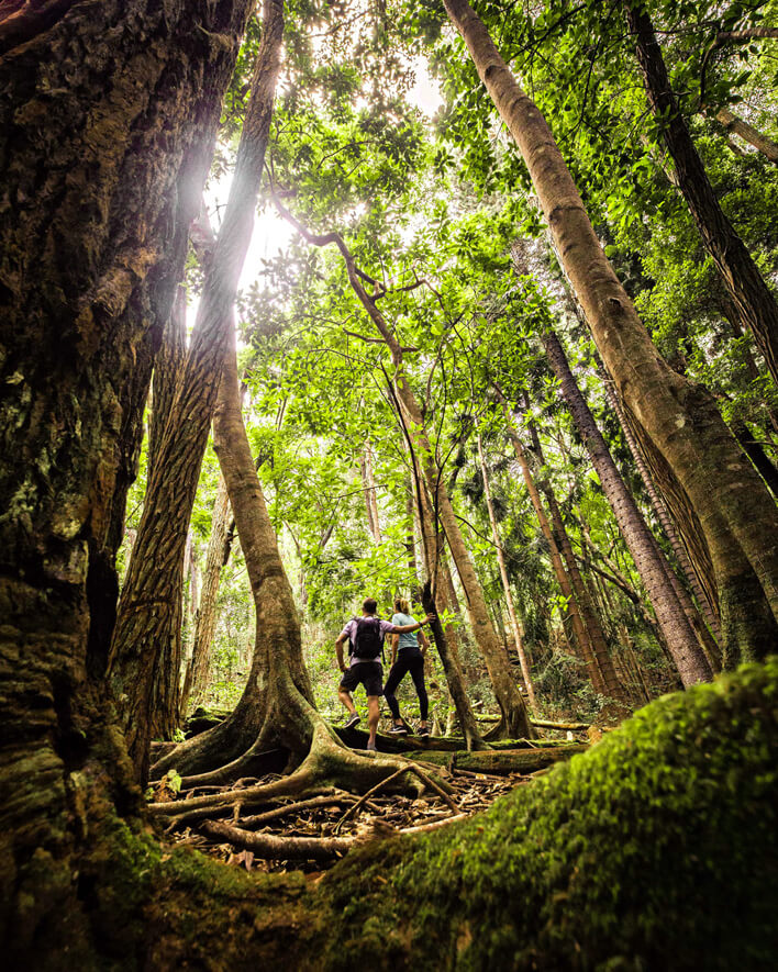 Top 5 Breathtaking Lanai Hikes featured by top Hawaii blog, Hawaii Travel with Kids: Koloiki Ridge Trail, Lanai hiking