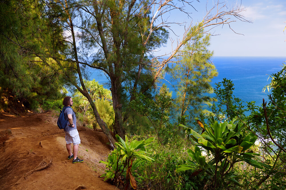 13 Tips for Visiting Hawaii for the First Time featured by top Hawaii blog, Hawaii Travel with Kids: Young male tourist hiking on beautiful Pololu loop trail located near Kapaau, Hawaii, that features beautiful wild flowers and stunning views to the Pololu Valley. Big Island, Hawaii.