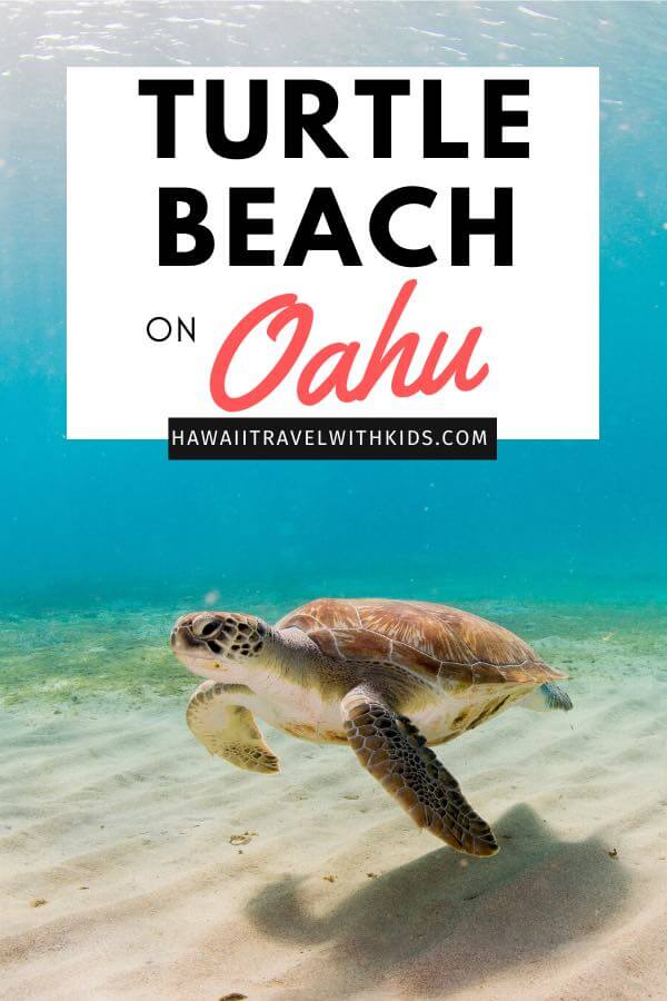 You Need to See Turtle Beach on Oahu! Here's Why