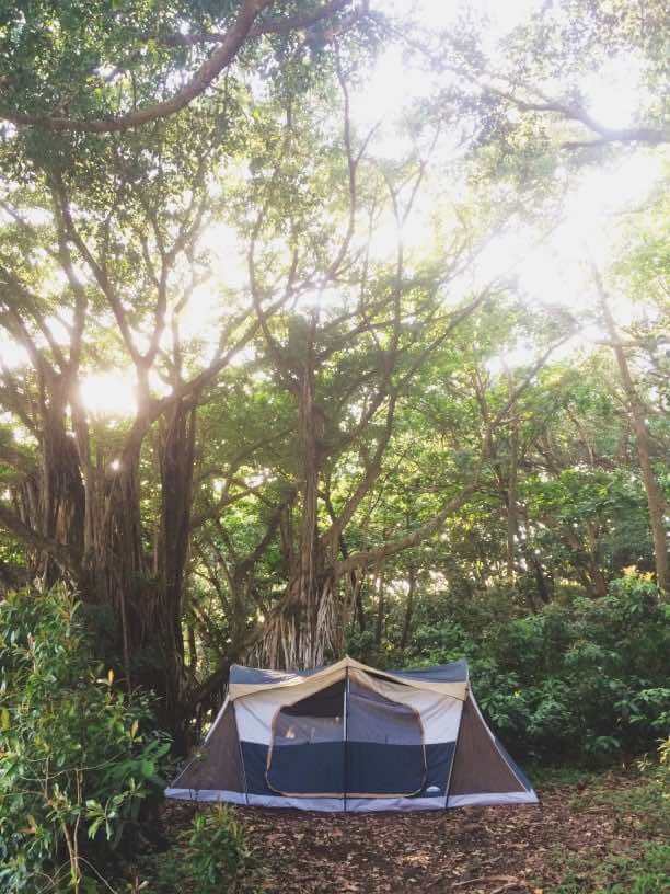 Ultimate Guide to Camping on Maui with Kids featured by top Hawaii blogger, Hawaii Travel with Kids: If you're heading to Hawaii on a budget, look into camping in Hawaii to save money and you could stay in a peaceful spot like this campsite in Hawaii