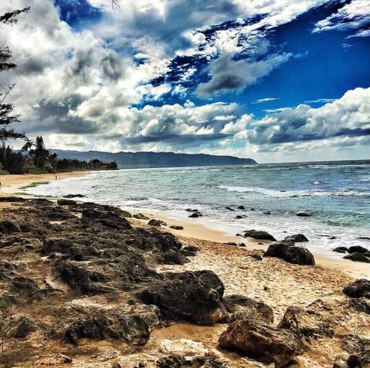 Ultimate Guide to Turtle Beach Oahu featured by top Hawaii blog, Hawaii Travel with Kids. | Turtle Beach is a popular North Shore Oahu beach for snorkeling, surfing, and spotting Hawaiian green sea turtles! | sea turtles oahu