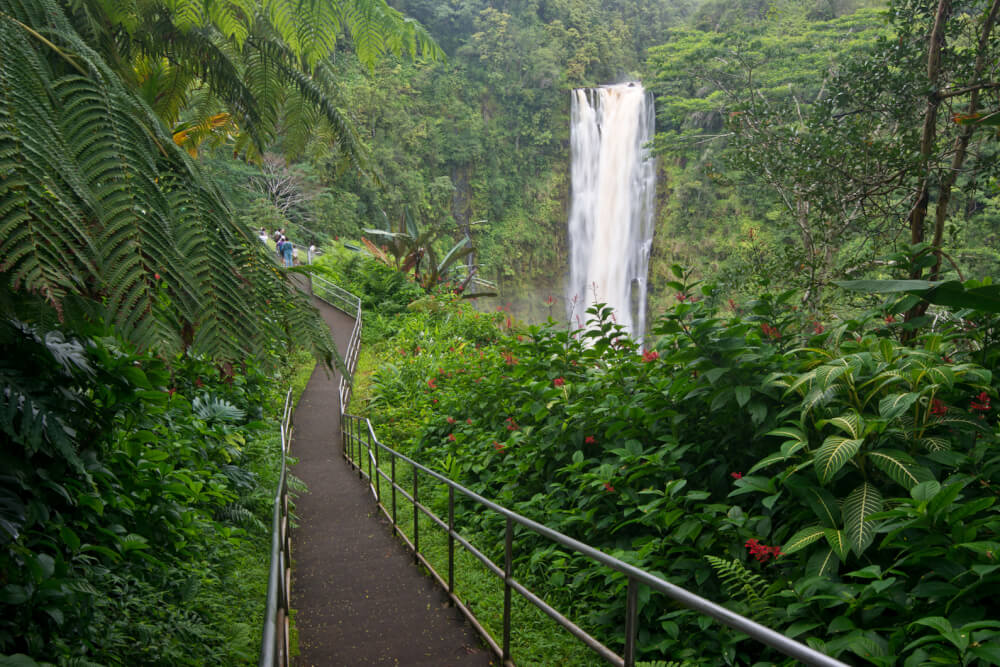 Top 7 Big Island Hawaii Waterfalls you Should Visit featured by top Hawaii blog, Hawaii Travel with Kids: Akaka Falls is one of the most popular waterfalls on the Big Island of HAwaii
