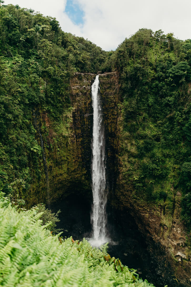 The Ultimate Guide to Hawaii Volcanoes National Park featured by top Hawaii blog, Hawaii Travel with Kids: Akaka Falls is one of the largest Big Island waterfalls