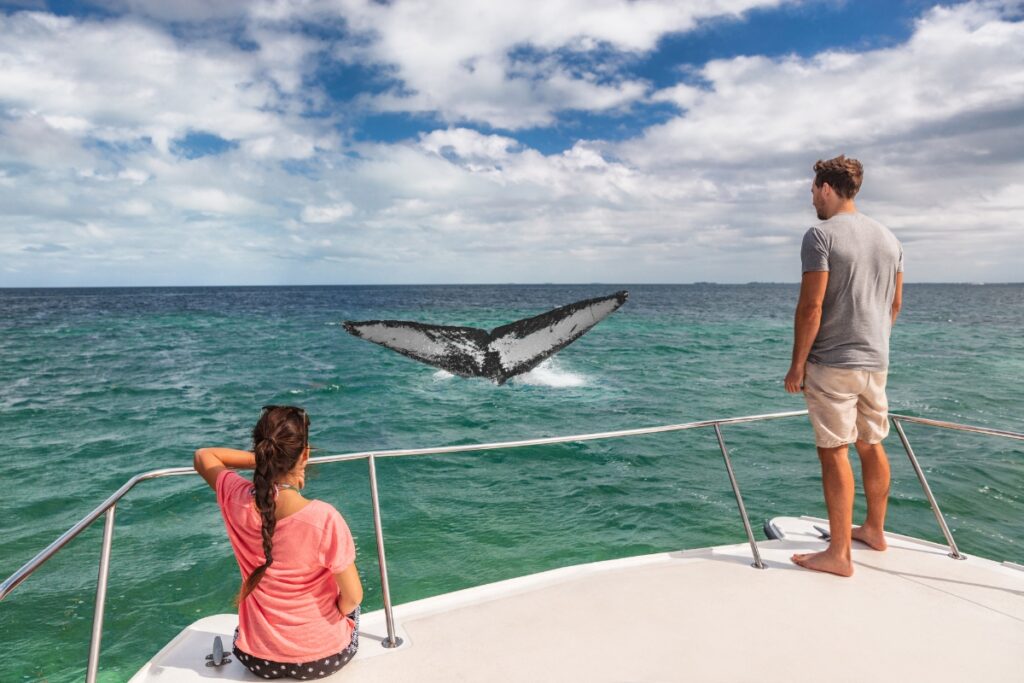 Tourists looking at whale tale on boat