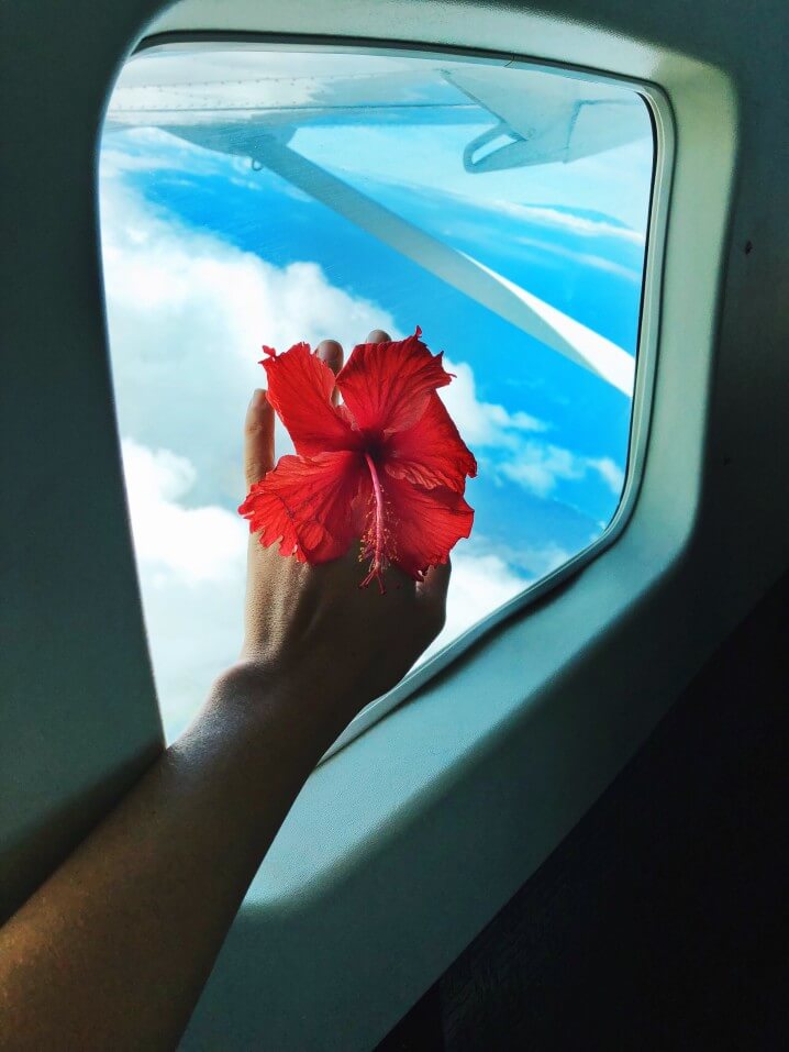 Island hopping in Hawaii is a great way to see more than one island. Image of someone holding a hibiscus flower in front of an airplane window.