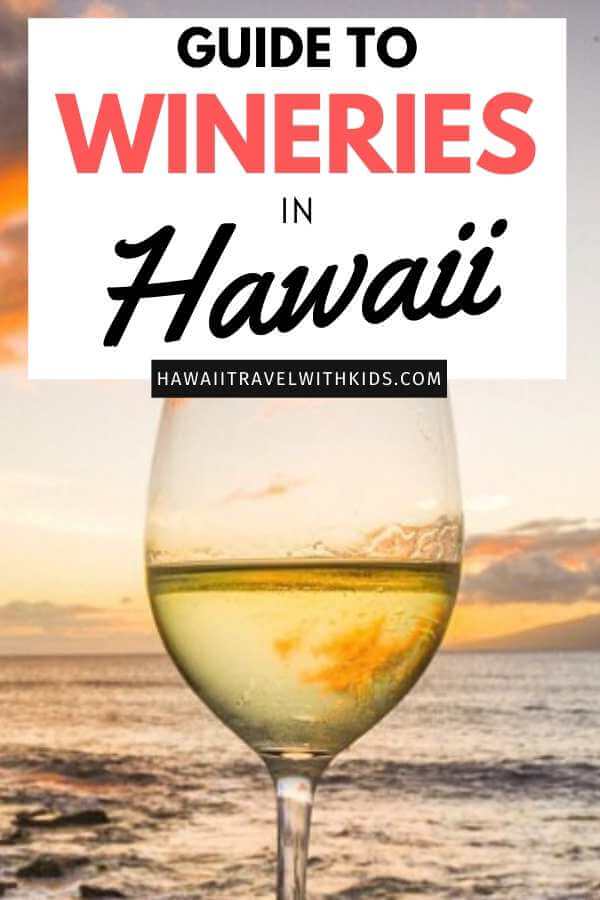 A Guide to the Best Hawaii Wineries featured by top Hawaii blog, Hawaii Travel with Kids.