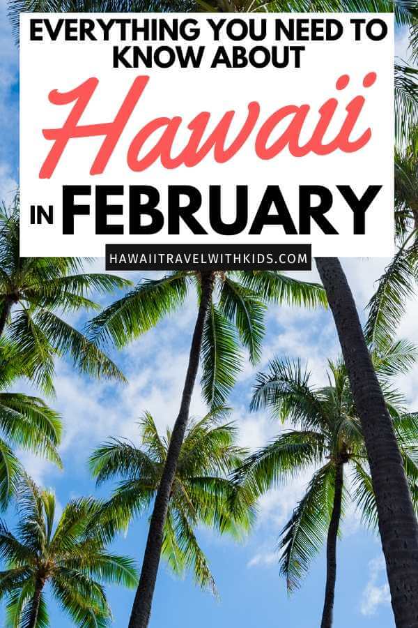 Visiting Hawaii in February with your Family (2023)