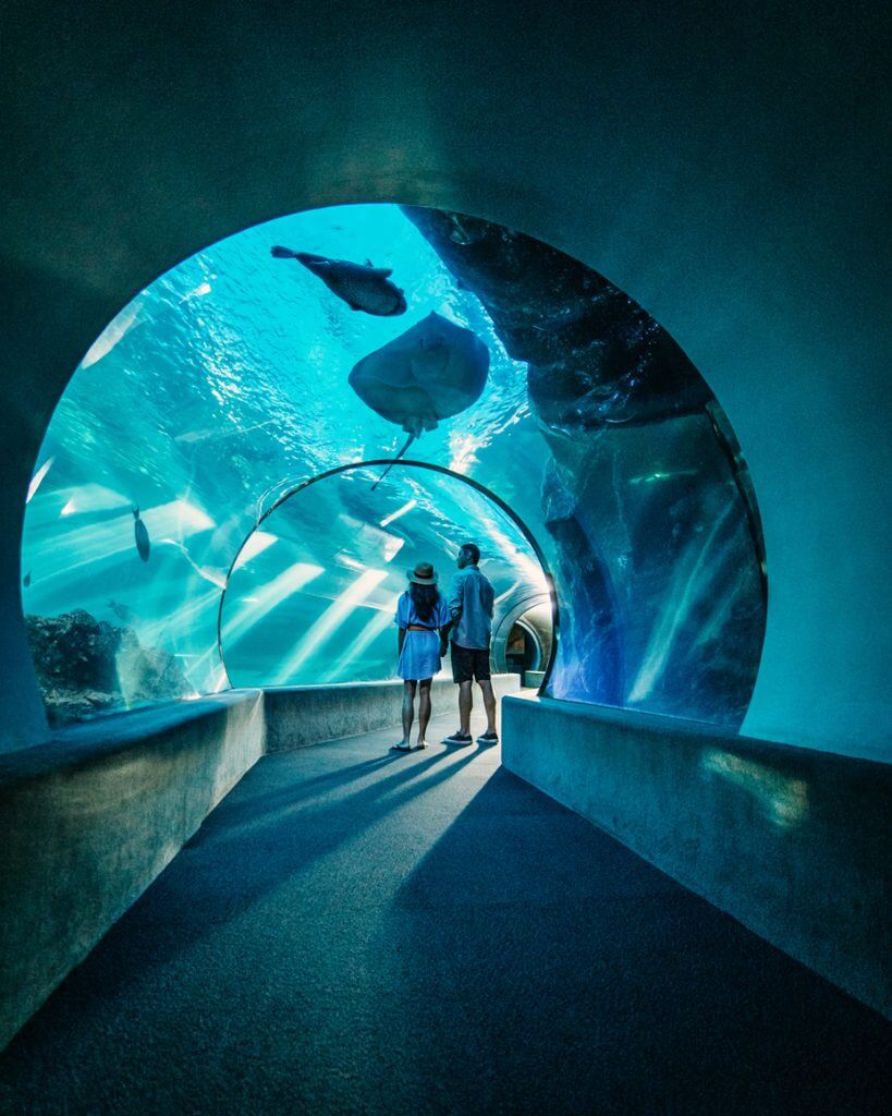 Wondering what to do in Kihei? You'll definitely want to check out the Maui Ocean Center near Kihei. Image of a man and woman walking through an aquarium tunnel.