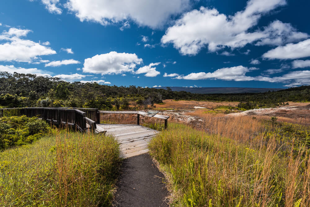 Sulphur Banks Trail in Hawaii Volcanoes National Park in Hawaii, United States