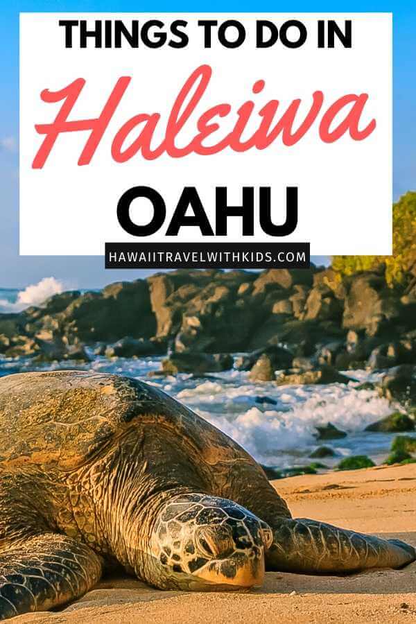 Best things to do in haleiwa oahu, featured by top Hawaii blog, Hawaii Travel with Kids.