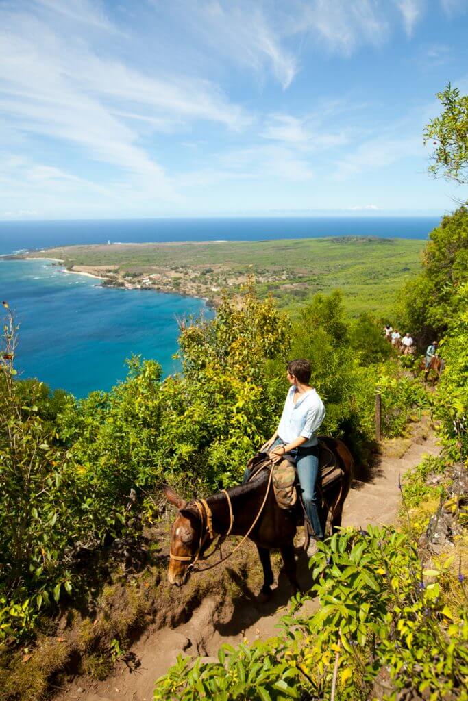 View of Kalaupapa as mules ride up in Molokai