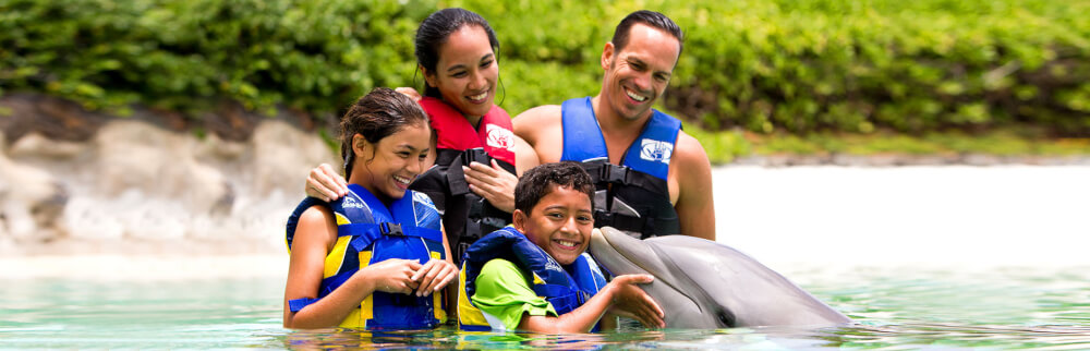 50 Best Places to Visit in Hawaii with your Family featured by top Hawaii blog, Hawaii Travel with Kids: Sea Life Park Dolphin Encounter Experience on Oahu.