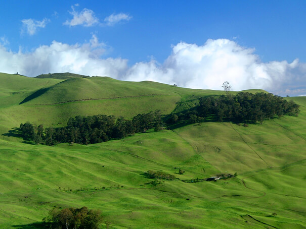 Ulupalakua Ranch on Maui