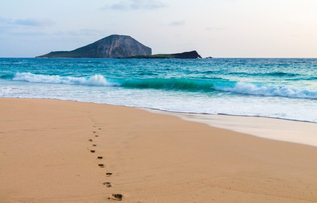 Beach on oahu