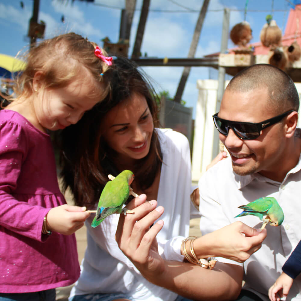 Sea Life Park in Oahu review featured by top Hawaii blog, Hawaii Travel with Kids: Birds at Sea Life Park on Oahu