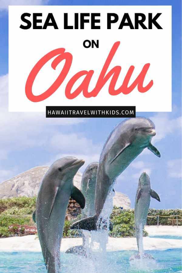 Sea Life Park in Oahu review featured by top Hawaii blog, Hawaii Travel with Kids.