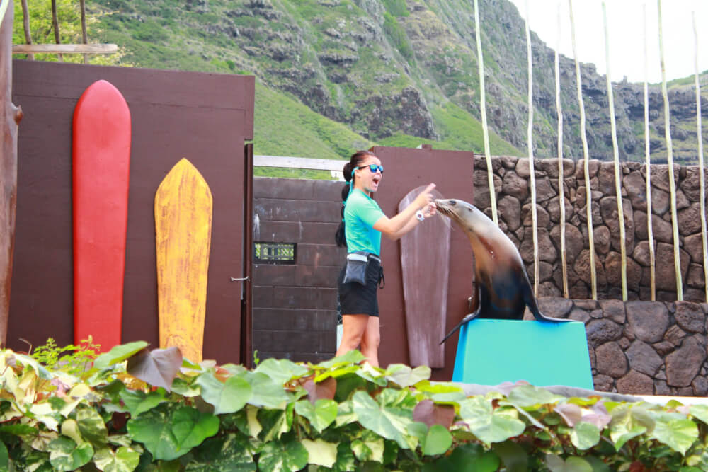 Sea Life Park in Oahu review featured by top Hawaii blog, Hawaii Travel with Kids: Sea Life Park is a top thing to do on Oahu with kids