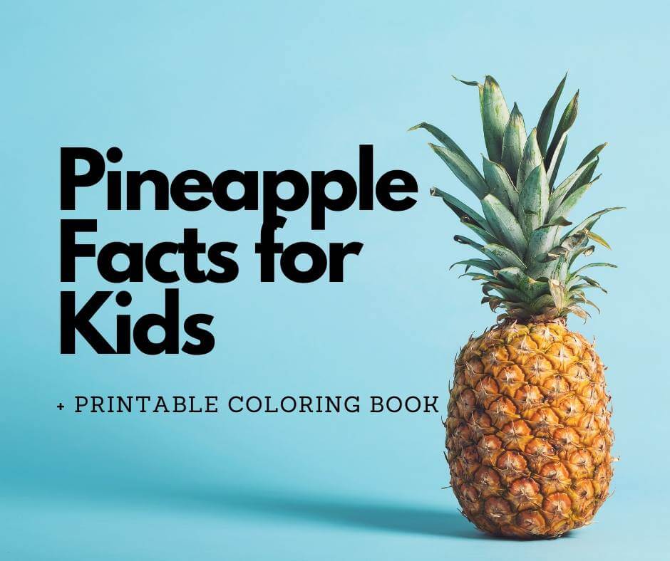 Pineapple Facts for Kids + FREE Printable featured by top Hawaii blog, Hawaii Travel with Kids.
