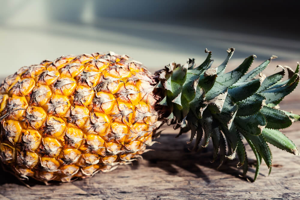 Visit a real Maui pineapple plantation on your trip to Maui with kids. Image of a fresh pineapple on a table