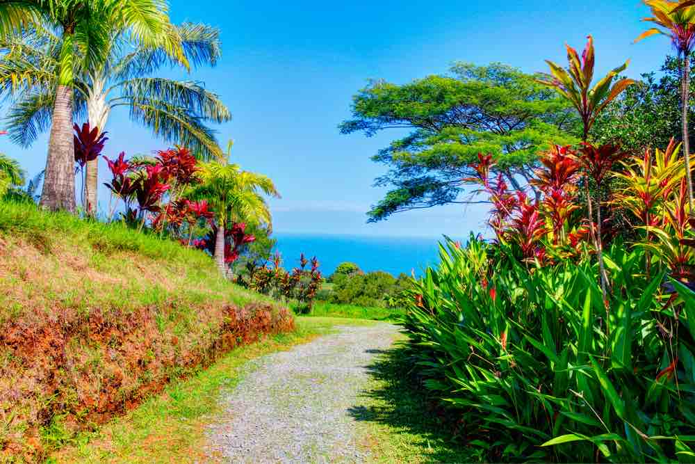 One of our favorite Road to Hana stops is the Garden of Eden. Image of a tropical garden on Maui.