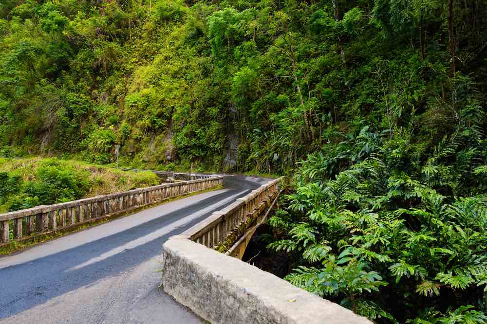 Should you do the Road to Hana with kids? We think you should definitely add it to your Maui itinerary 5 days. Image of Road to Hana on Maui.