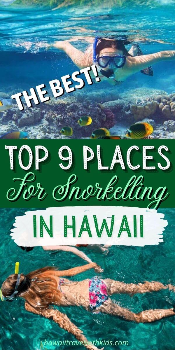 Top 9 Locations for the Best Snorkeling on Kauai Hawaii Travel with Kids