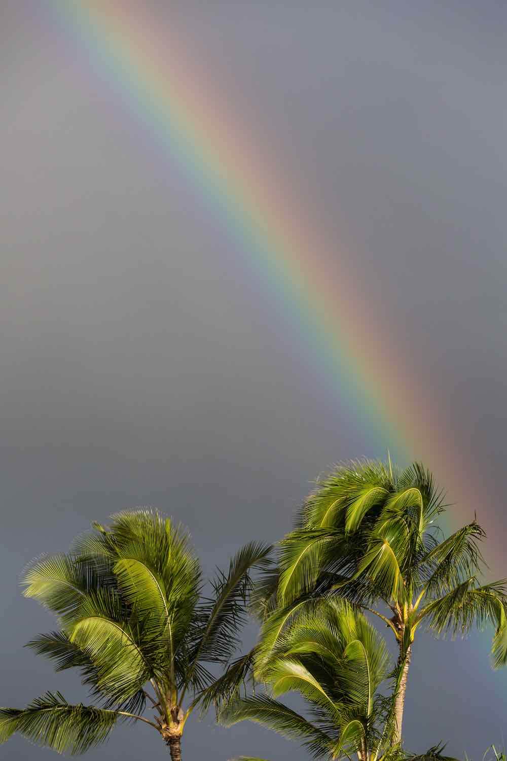 101 Best Things to Do on Kauai with Kids featured by top Hawaii blog, Hawaii Travel with Kids: Look for a Kauai rainbow on your trip to Kauai with kids