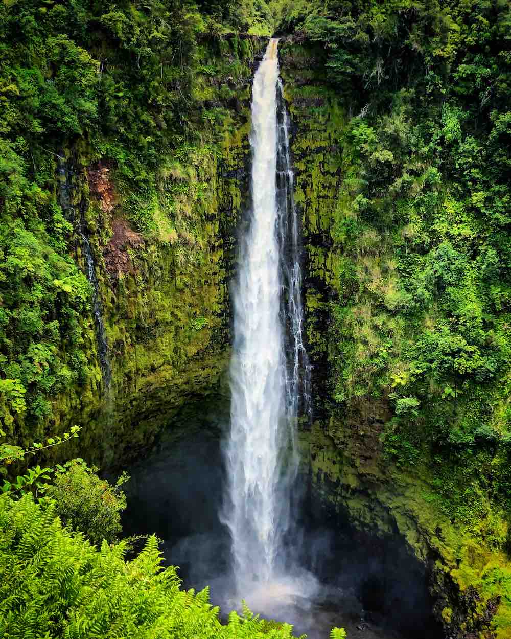 7 Prettiest Best Hawaii Waterfalls to visit featured by top Hawaii blog, Hawaii Travel with Kids: Akaka Falls is one of the best Big Island waterfalls