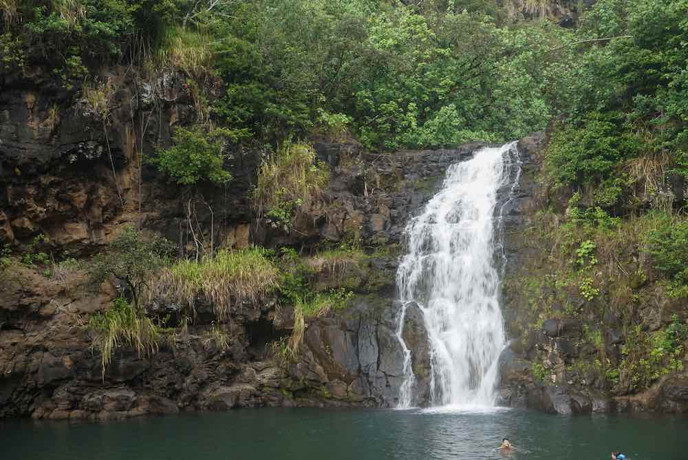 7 Prettiest Best Hawaii Waterfalls to visit featured by top Hawaii blog, Hawaii Travel with Kids: Waimea Falls is one of the best Oahu waterfalls