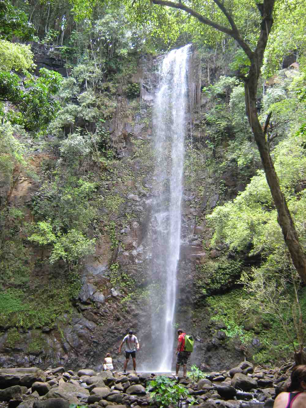 7 Prettiest Best Hawaii Waterfalls to visit featured by top Hawaii blog, Hawaii Travel with Kids: Uluwehi Falls is one of the prettiest Kauai waterfalls