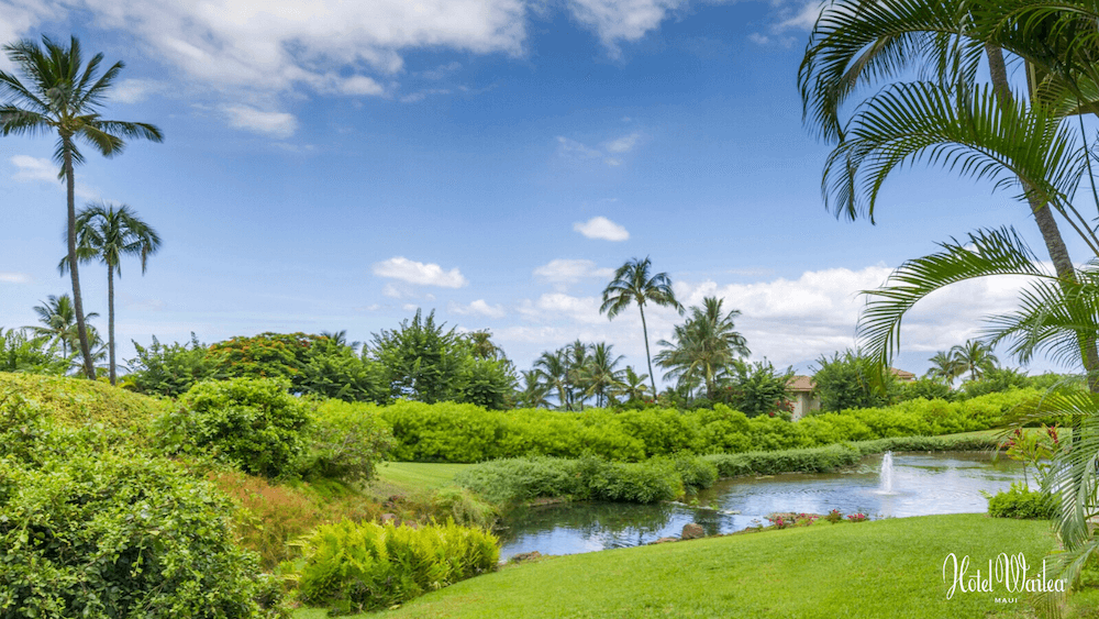 Top 5 Best Maui Luxury Hotels featured by top Hawaii blogger, Hawaii Travel with Kids: The Hotel Wailea is a top Maui hotel for couples. Image of the Hotel Wailea golf course