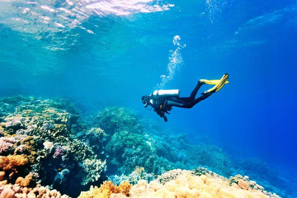 Scuba Diving in Hawaii guide featured by top Hawaii blogger, Hawaii Travel with Kids