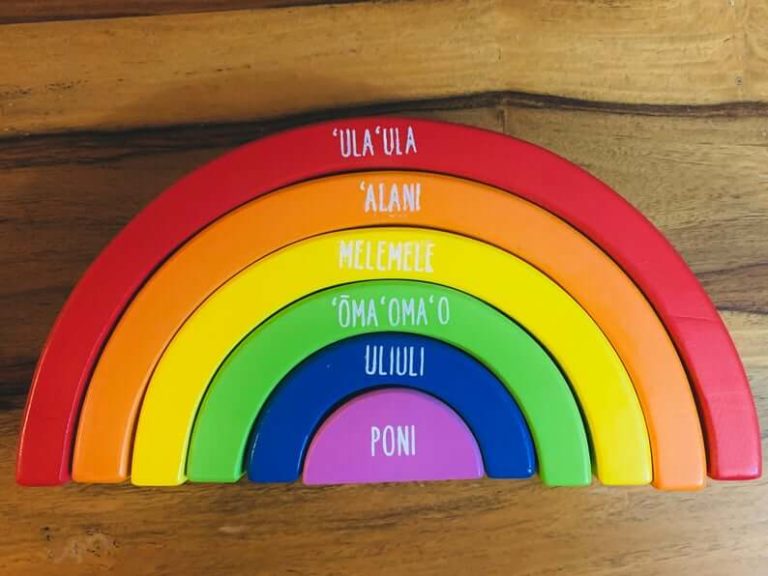 27 Best Hawaiian Gifts for Kids Hawaii Travel with Kids (2023)